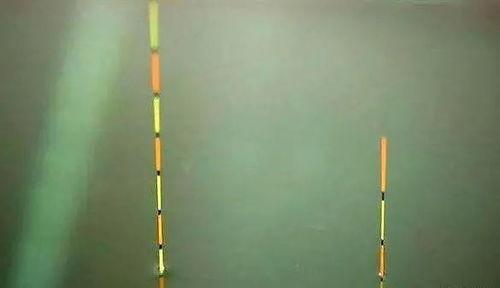 调4钓2视频,轻松掌握钓鱼新境界