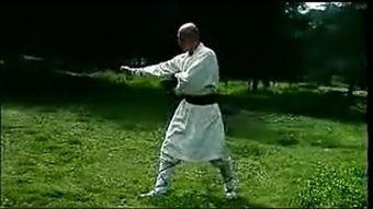 金刚拳教学视频,一招一式，硬核武术精髓全解析