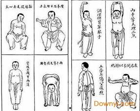 高清八段锦视频下载,轻松入门养生之道