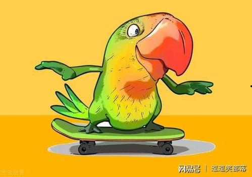 公牛与母牛的交配视频,公母牛交配瞬间捕捉