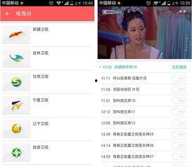 中华视频下载,解锁海量精彩内容，畅享视听盛宴